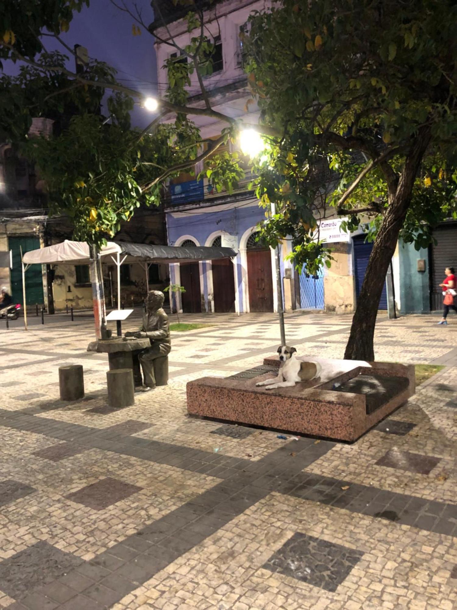 Seu Borba Pousada & Hostel レシフェ エクステリア 写真